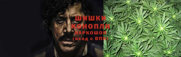 гидра Надым
