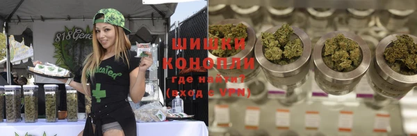 гидра Надым