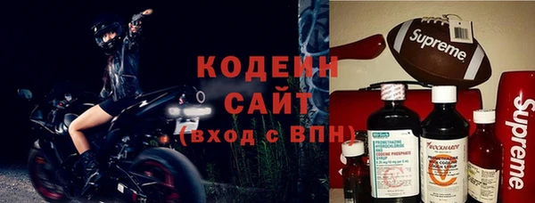 гидра Надым