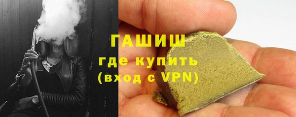 гидра Надым