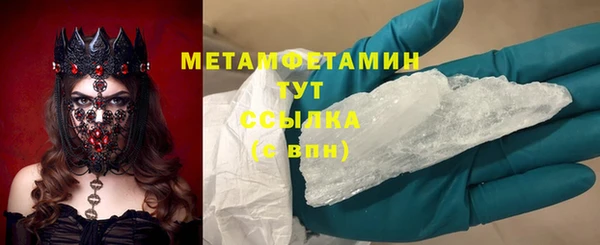 гидра Надым