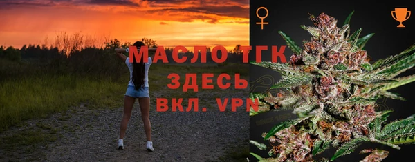 гидра Надым